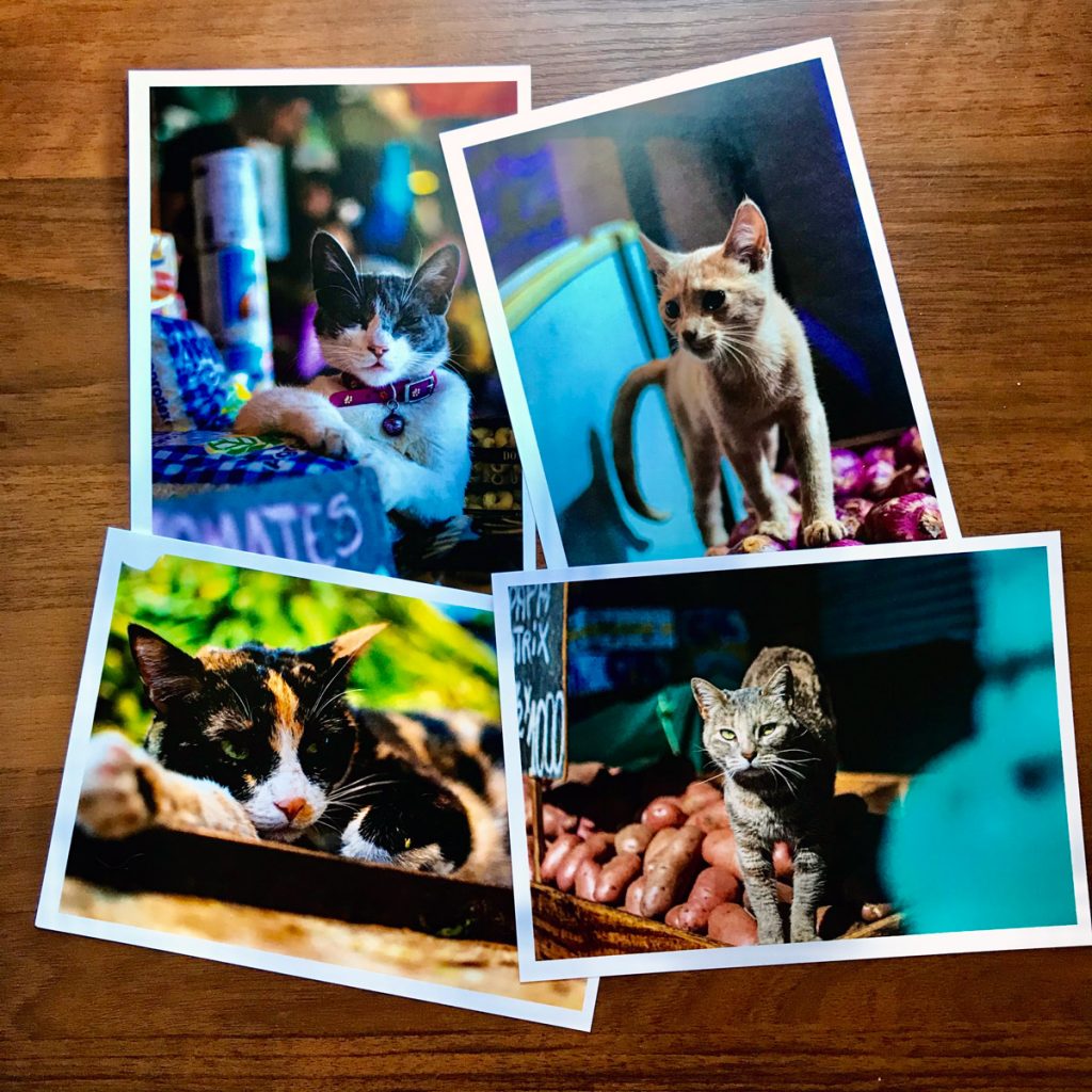 Set fotográfico: Los Cuchos 2